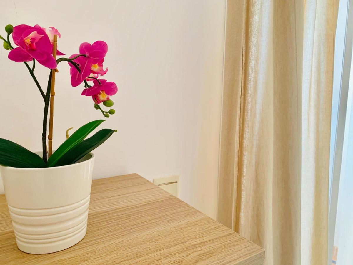 Homely Malaga Parras Con Terraza Interior Y Parking Privado Bajo Suplemento Eksteriør billede